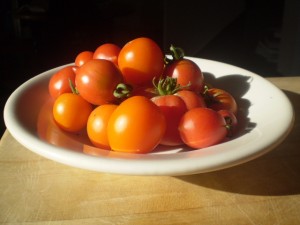 summer tomatoes